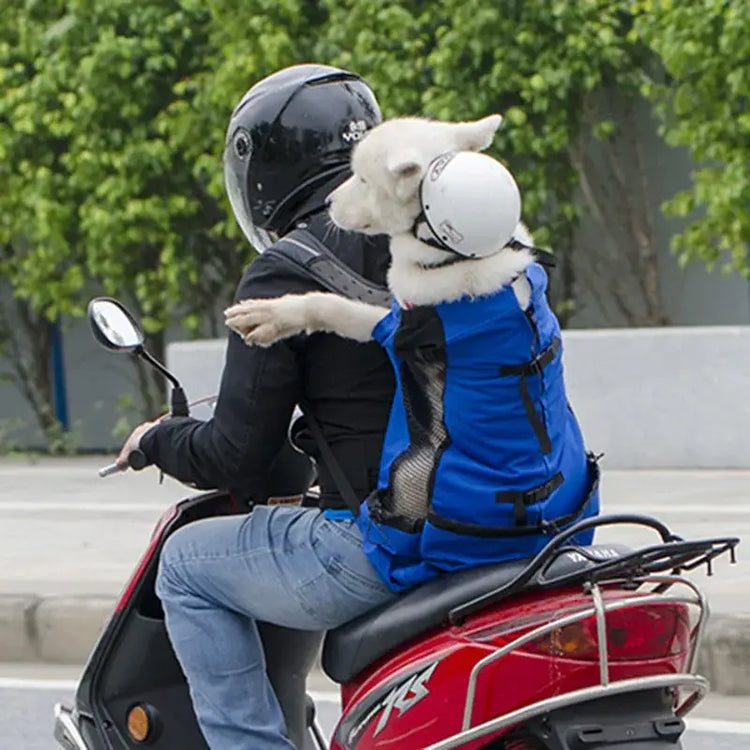 Cage de transport pour animaux
