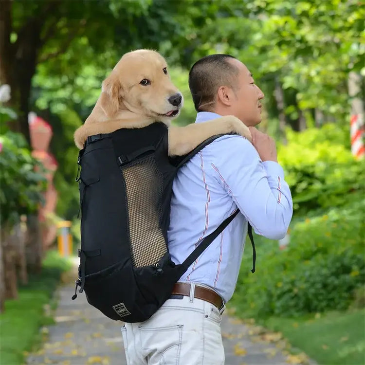 Cage de transport pour animaux