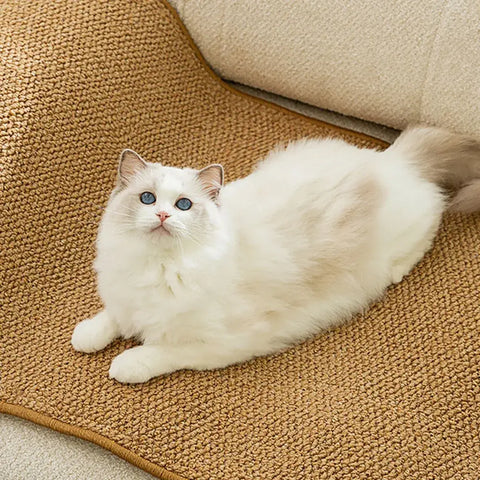Cat Scratchers Mat For Indoor Cat Wear-resistant Protective Sofa Mat For Kittens Cat - S / China Mainland