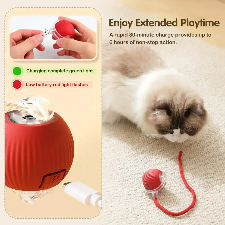Cat Toys for Kitten Cats Ball Toys Pet Product Cat’s Accessories for Home Automatic Electronic Indoor Interactive Cat