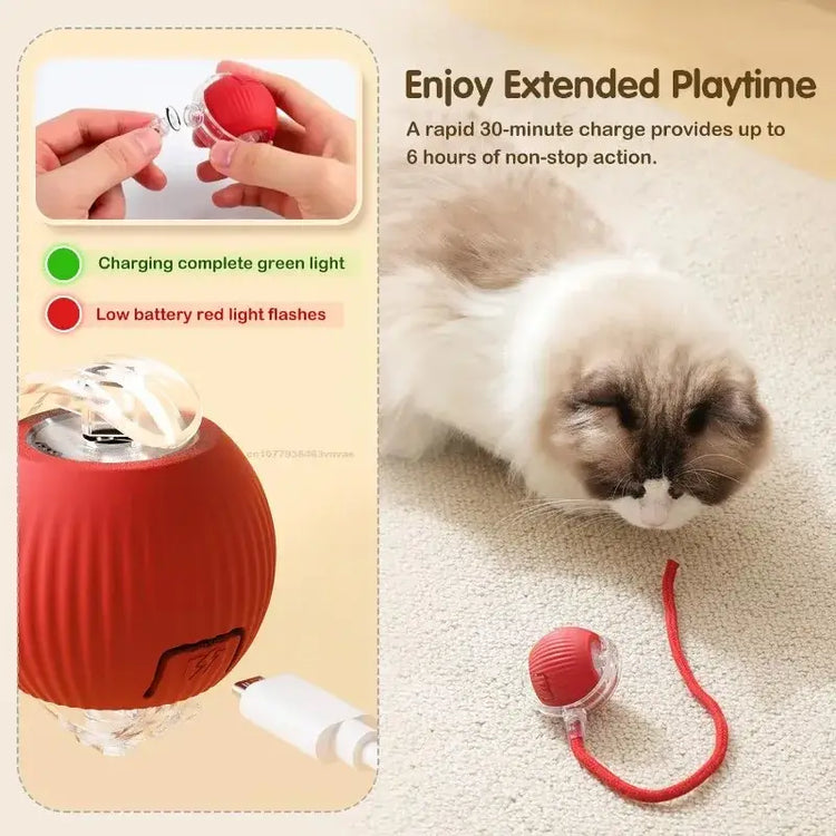 Cat Toys for Kitten Cats Ball Toys Pet Product Cat’s Accessories for Home Automatic Electronic Indoor Interactive Cat