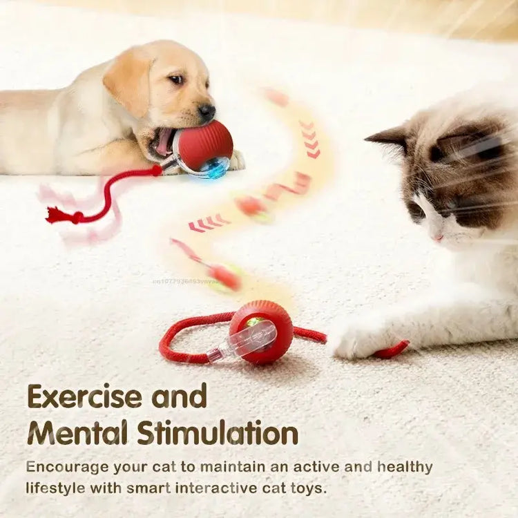 Cat Toys for Kitten Cats Ball Toys Pet Product Cat’s Accessories for Home Automatic Electronic Indoor Interactive Cat