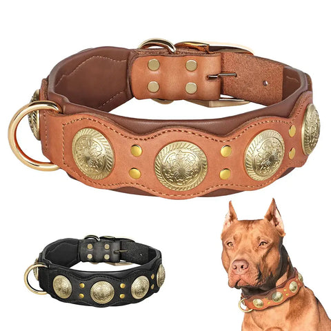 Collier pour chien en cuir véritable