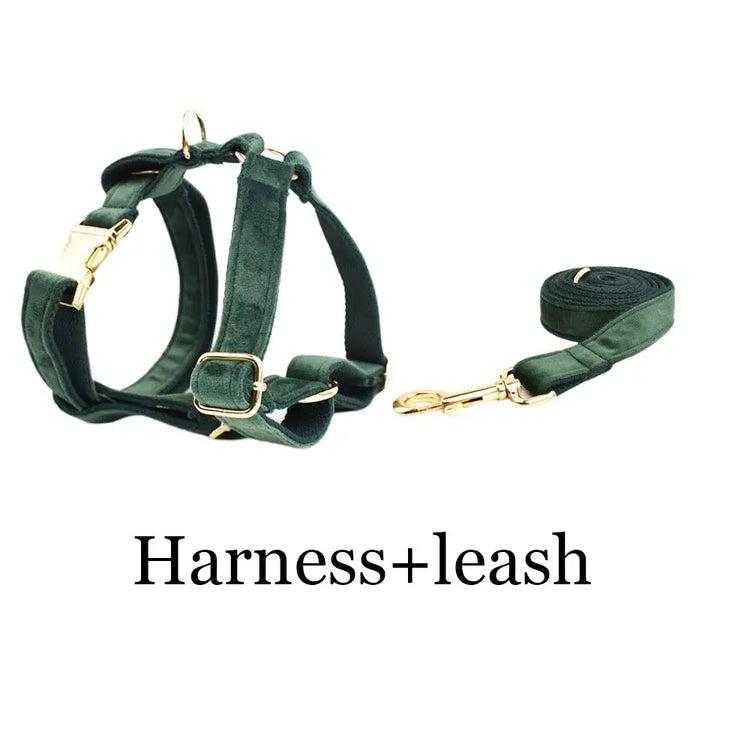 Collier pour chien en velours personnalisé - Harness leash / XL