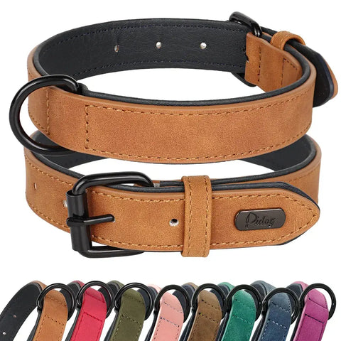 Collier pour grand chien