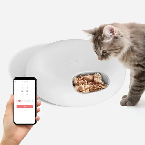 Distributeur automatique pour animaux - WiFI Feeder