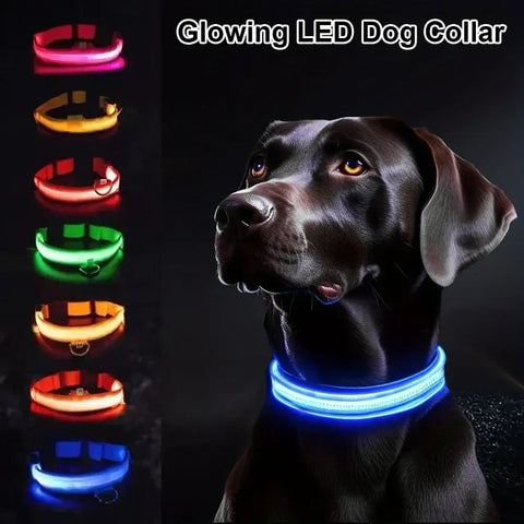 Dog Collar Nylon LED Night Safety Flashing Glow In The Dark Pet Dog Leash pet Dogs Luminous Fluorescent collar dog