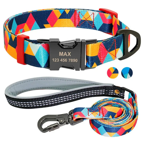 Ensemble collier et laisse en nylon pour chien