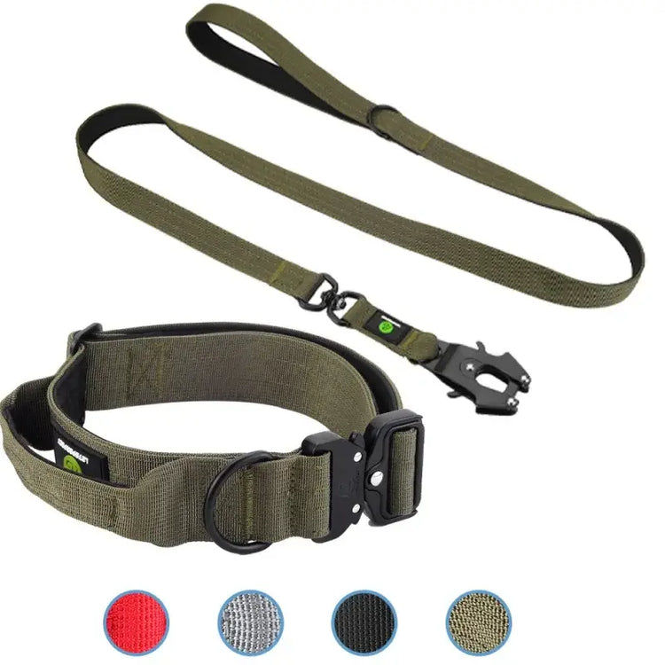 Ensemble collier et laisse tactiques pour chien