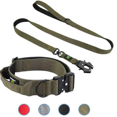 Ensemble collier et laisse tactiques pour chien