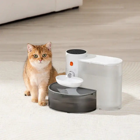Fontaine à eau pour chat avec distributeur d’eau