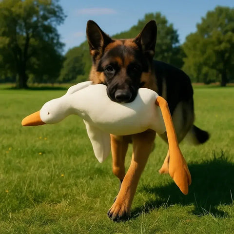 Grand jouet réaliste pour chien en forme de canard - 50cm
