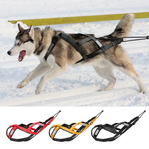 Harnais de traîneau étanche pour chien