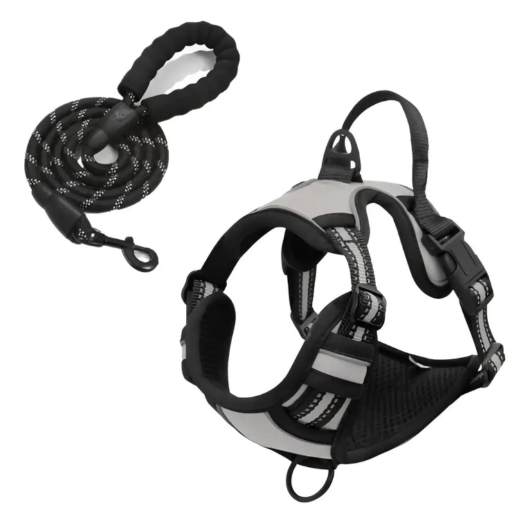 Harnais pour chien en nylon réglable - france / Light Grey / M