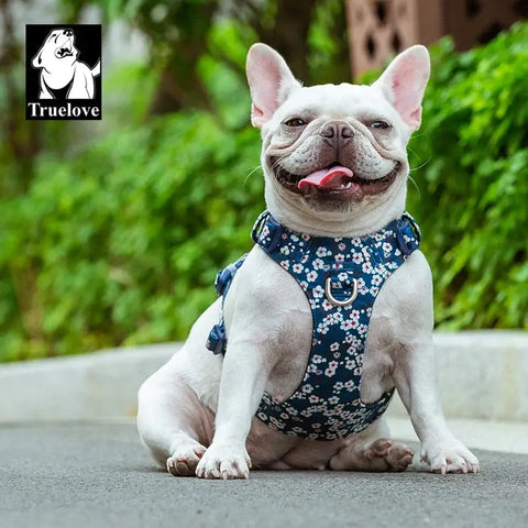 Harnais pour animaux Truelove en coton