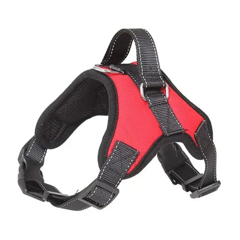 Harnais pour chien de selle