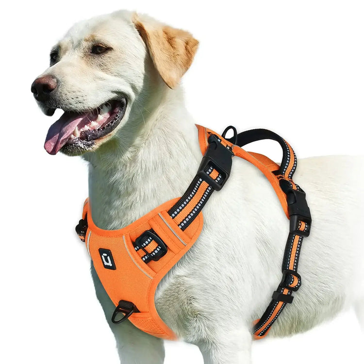 Harnais pour chien rembourré réglable - Orange / S