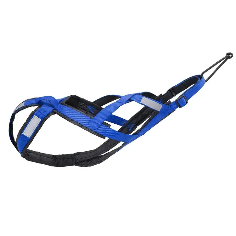 Harnais pour traîneau à chiens - Blue / XXL / france