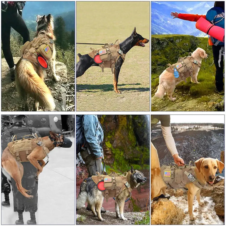 Harnais tactique pour chien