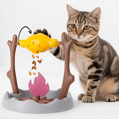 Jouet interactif pour chat - Multicolor