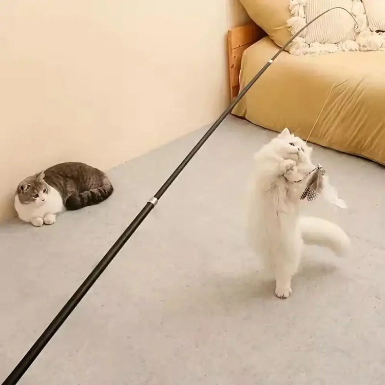 Jouet pour chat à long manche extensible