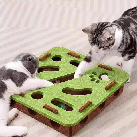 Jouet puzzle pour chat en matériau durable
