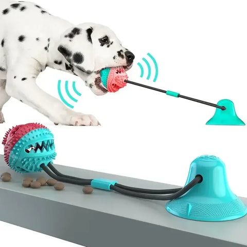 Jouets à balles pour gros chiens