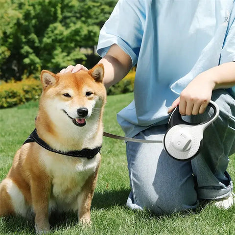 Laisse Chien 5–8 m avec Sac à Crottes | PawFrance