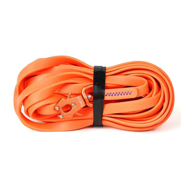 Laisse de dressage étanche - Orange / 15M
