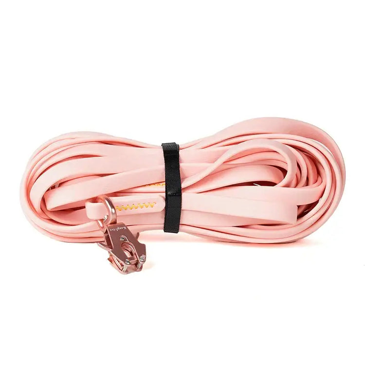 Laisse de dressage étanche - Pink / 5M