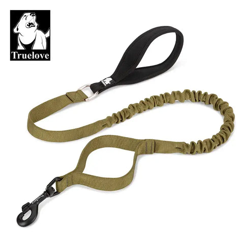 Laisse flexible pour chien