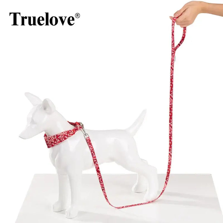 Laisse pour animaux de compagnie à motif floral