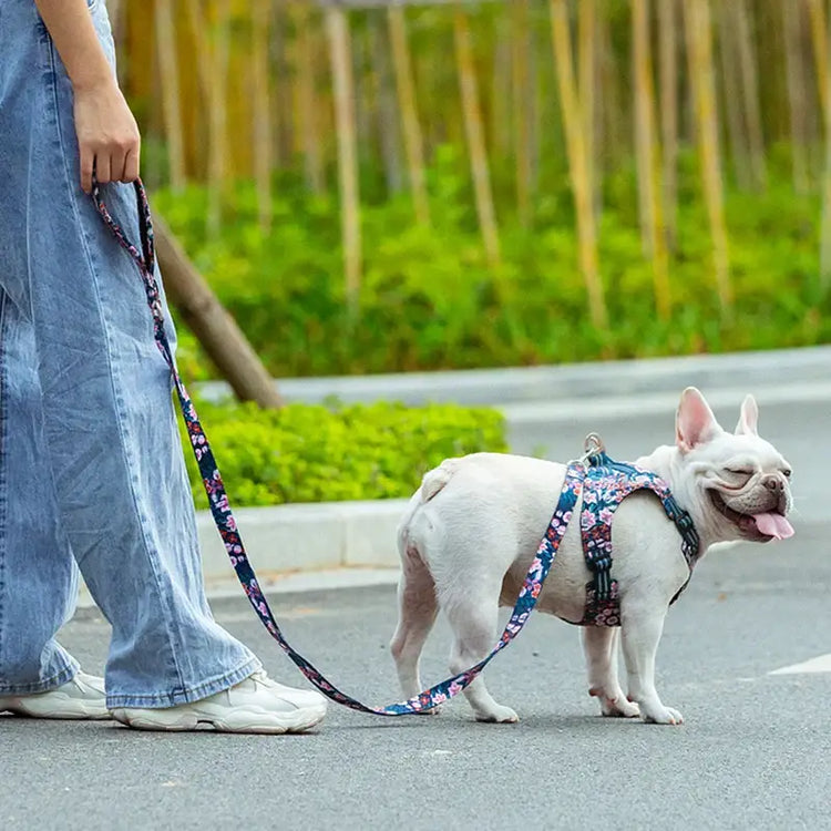 Laisse pour animaux Truelove Floral