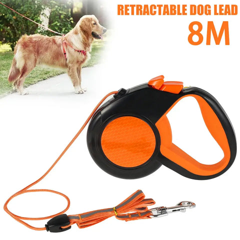 Laisse pour promener son animal