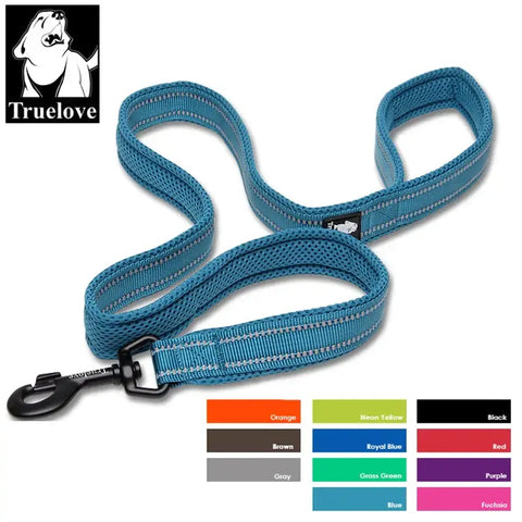 Laisse souple pour chien