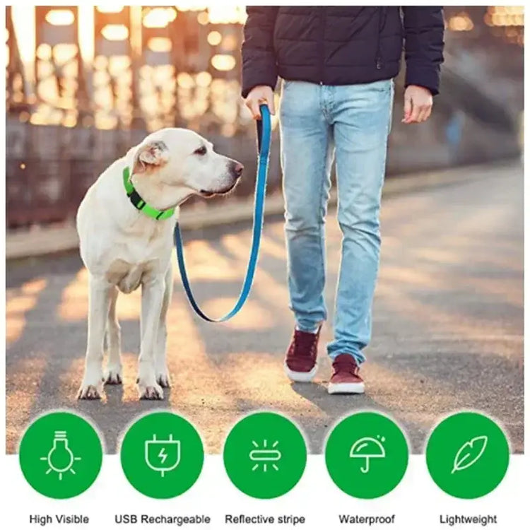 LED Glowing Dog Collar Adjustable Flashing Rechargea Luminous Collar Night Anti-Lost Dog Light HarnessFor Small Dog Pet