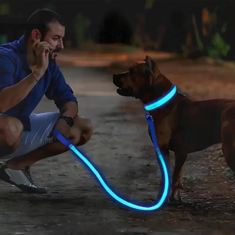 LED Glowing Dog Collar Adjustable Flashing Rechargea Luminous Collar Night Anti-Lost Dog Light HarnessFor Small Dog Pet