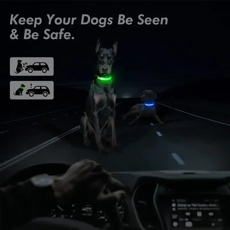 LED Glowing Dog Collar Adjustable Flashing Rechargea Luminous Collar Night Anti-Lost Dog Light HarnessFor Small Dog Pet