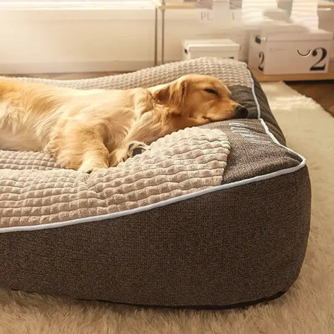 Lit Douillet pour Chien | Confort Hiver PawFrance