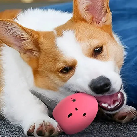 Jouets pour chiens en forme d’œuf rebondissant