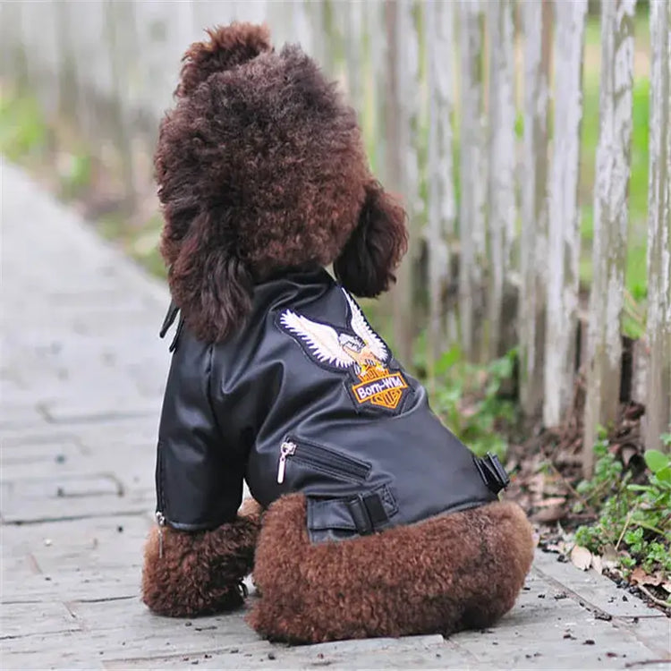 Manteau pour chien à motif d’aigle glorieux - Black / XL