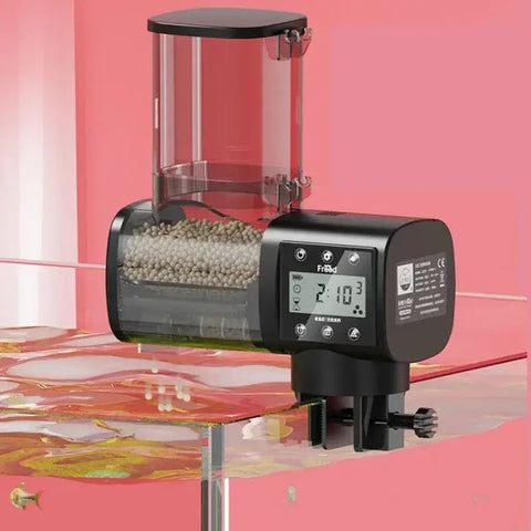 Nourrir les poissons d’aquarium