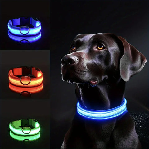 Reflective LED Dog Collar for Night Safety - Durable Geometric Patterned Battery-Powered Ideal for Small/Medium Breeds