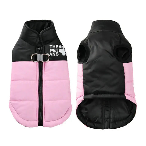 veste coupe-vent pour chien