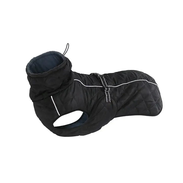 Veste d’extérieur pour chien - black / M