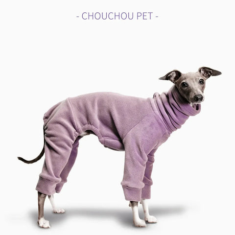 vêtements pour animaux de compagnie Lévrier italien