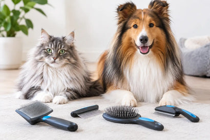 Les meilleures brosses pour poils longs de chiens et chats