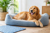Guide couchage été pour chien : le bon choix