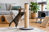 Guide choix griffoir pour chat en appartement