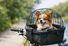 Bien choisir un panier vélo chien sécurisé
